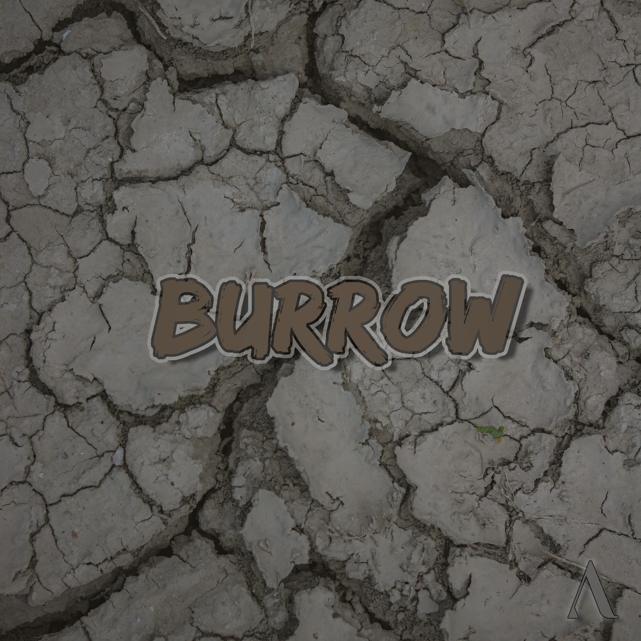 Burrow